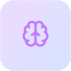 brain